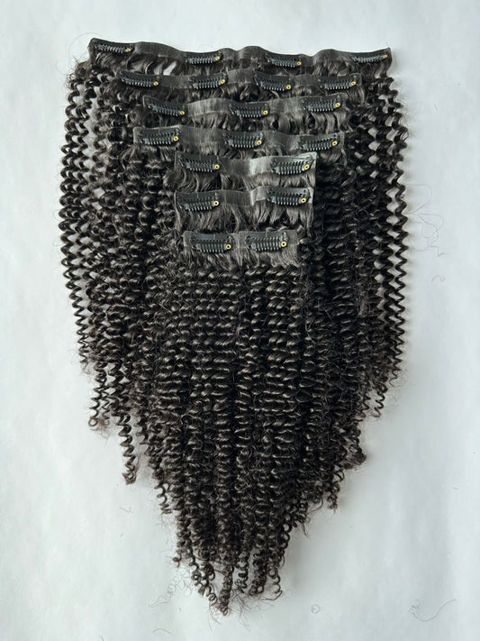 Virgin Kinky Curly Seamless Clip Ins